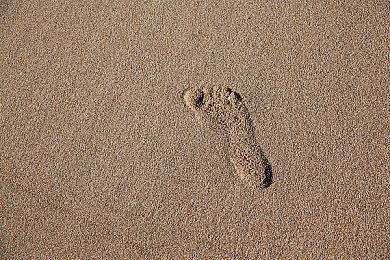 《使命召唤：黑色行动6》会在游戏里推送微交易广告